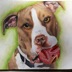 Meet your Posher, Hakeem